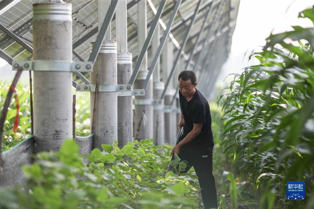 天发棋牌官网